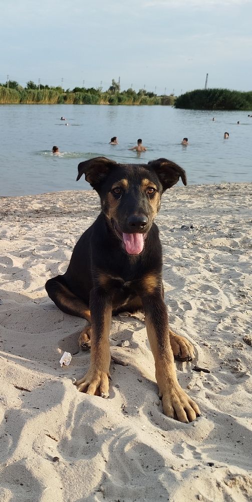 Photograph by Елизавета Слесарева