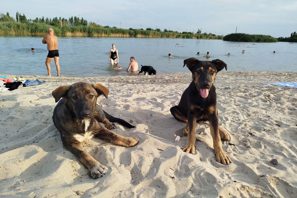 Photograph by Елизавета Слесарева