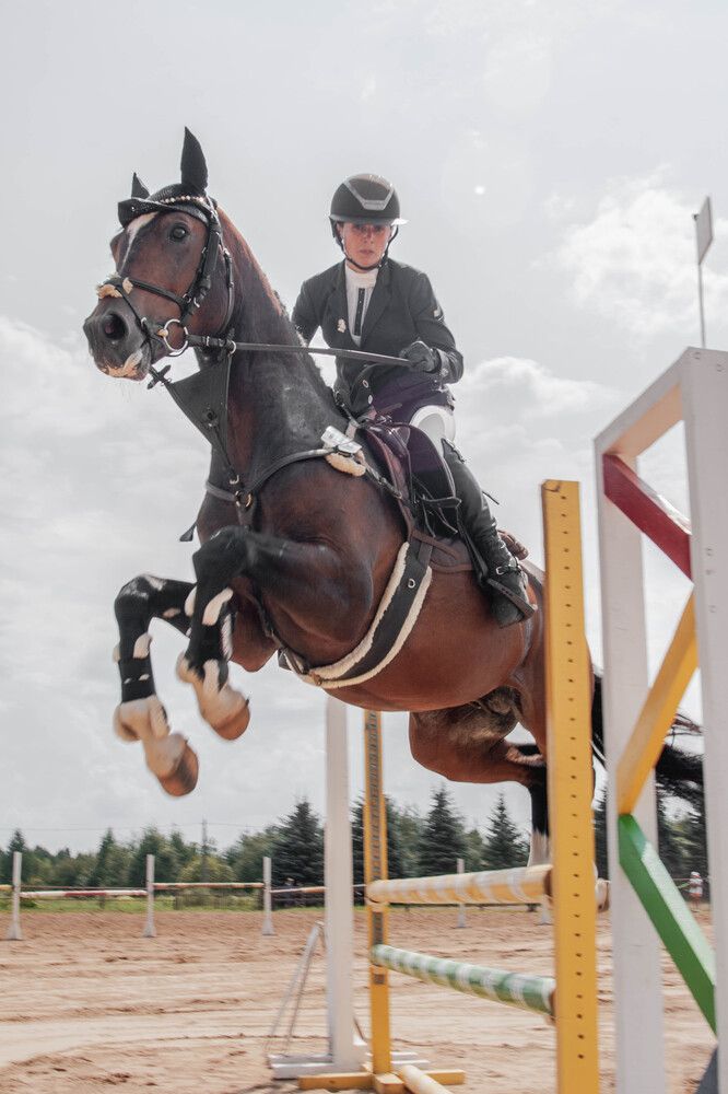 Showjumping