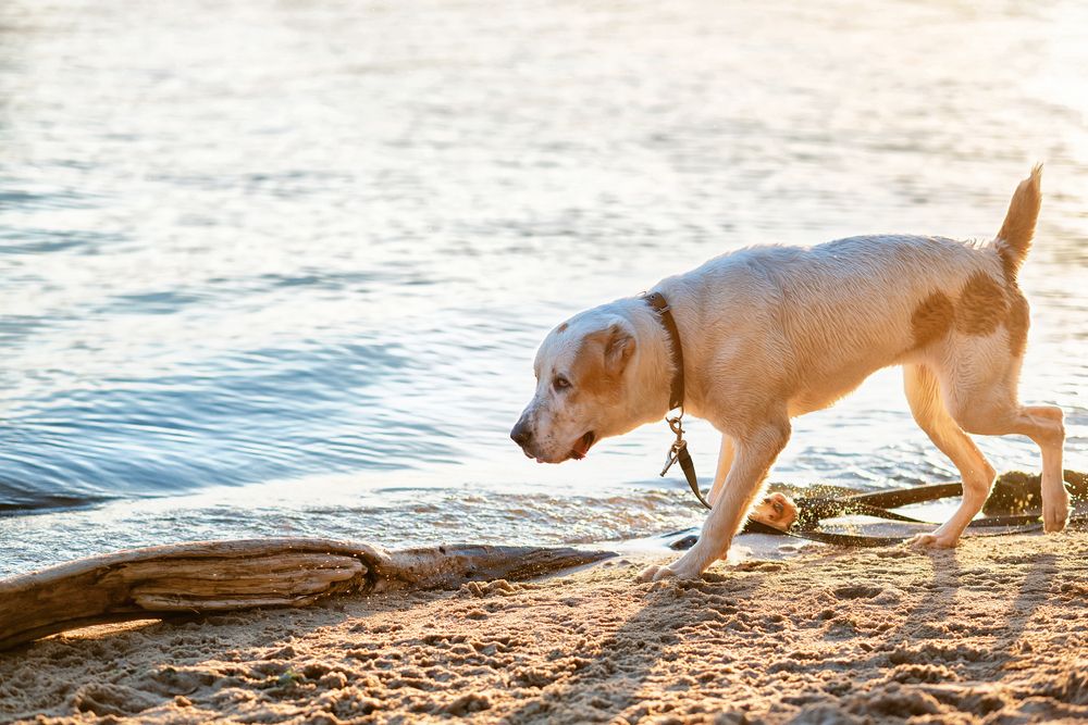Photograph by Любовь Мызина