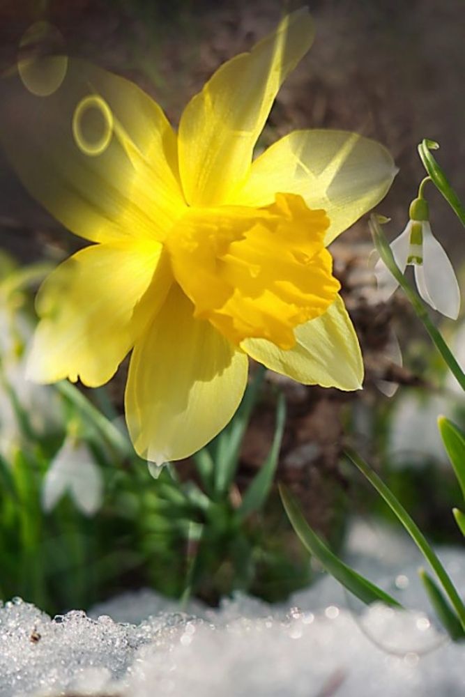 Photograph by Анна Андреевна