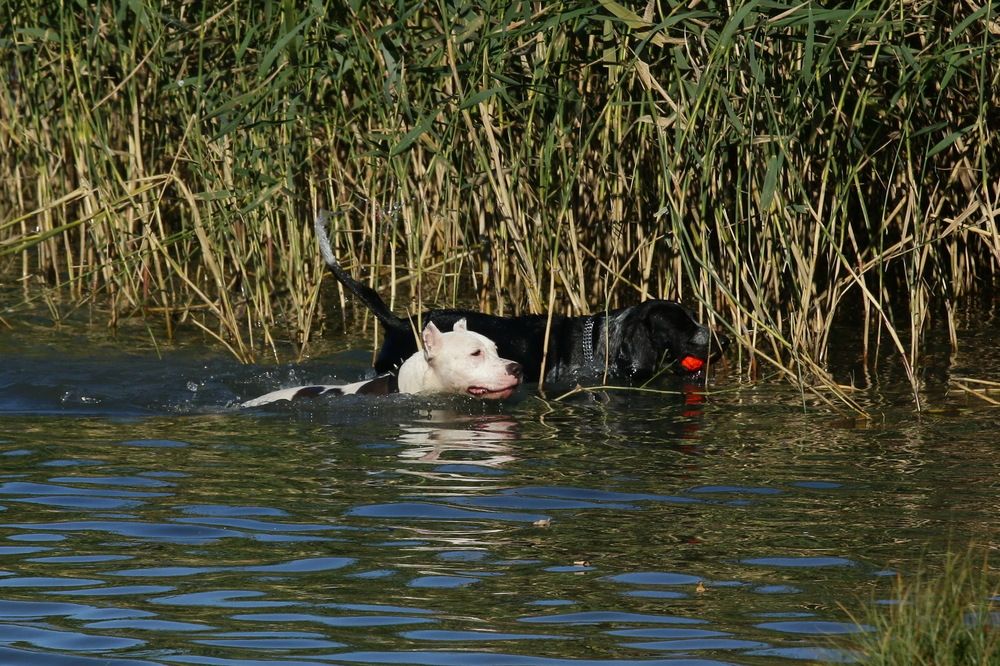 Фотография автора Сергей Кульков