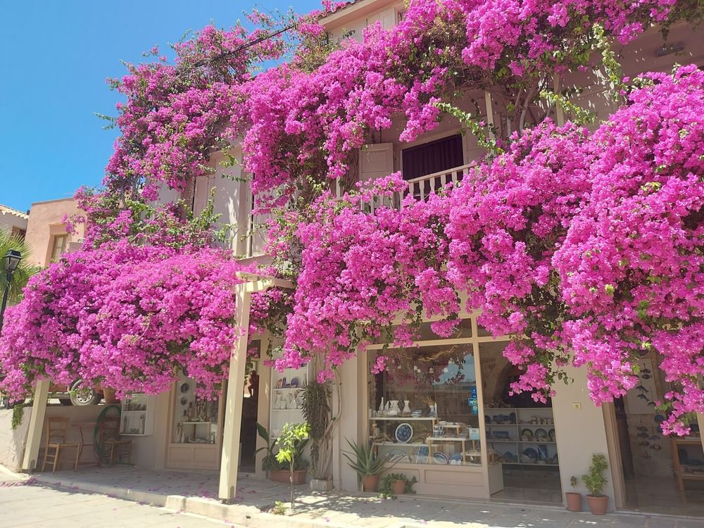 Photograph by Rosane Cortez