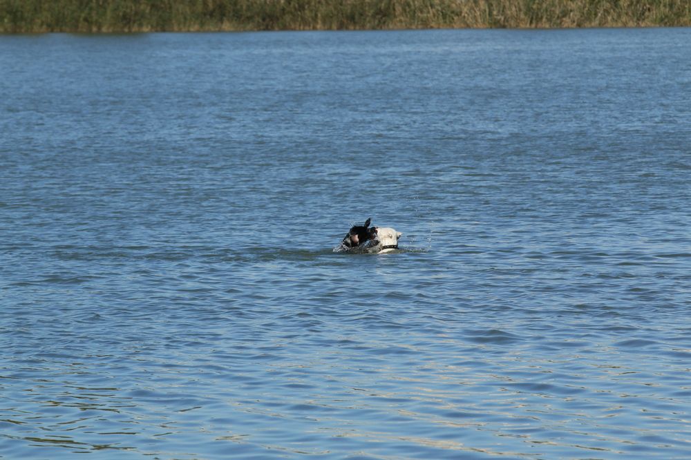Фотография автора Сергей Кульков