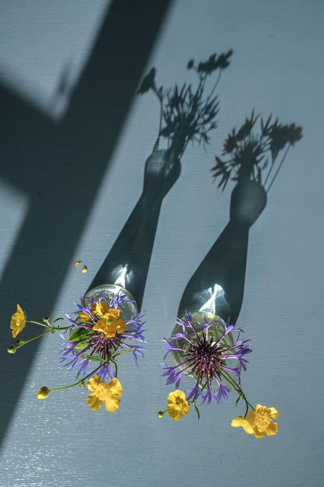 Photograph by Ольга Кудіна