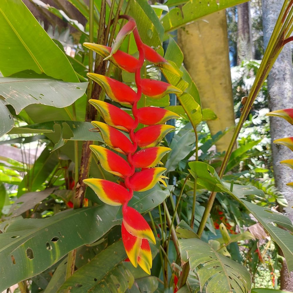 Photograph by Rosane Cortez