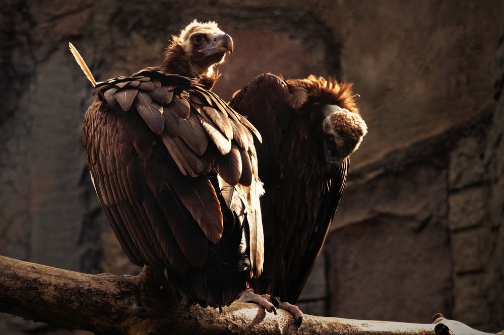 Photograph by Давид Гянджалиев