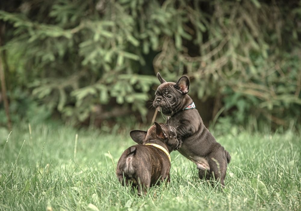 Photograph by Милана Бабченко