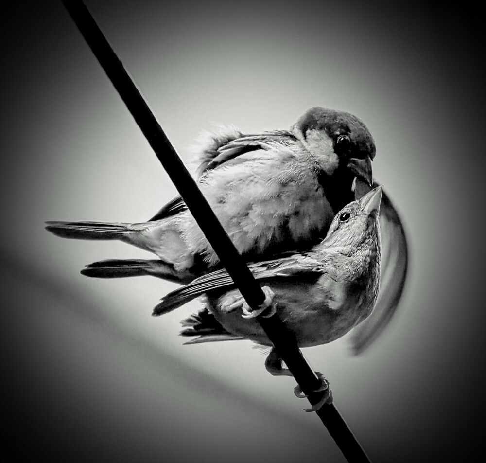 Photograph by Nirup Datta