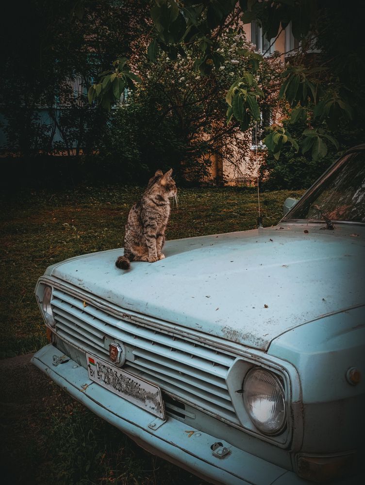 Photograph by Светлана Таркан