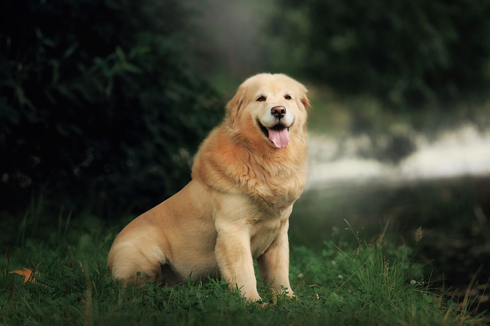 Photograph by Дарья Ералева