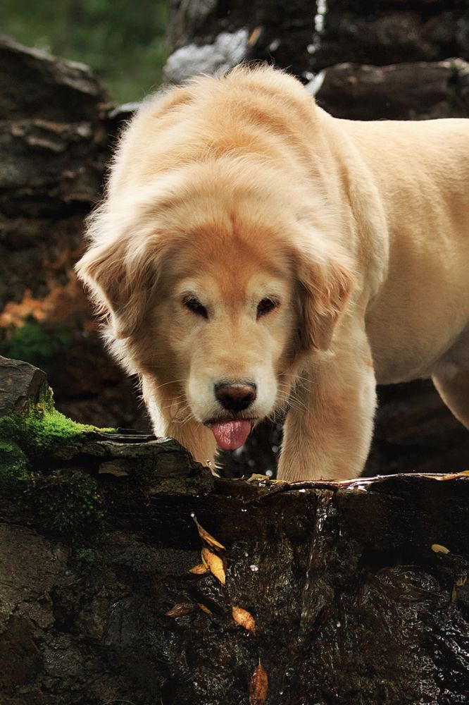 Photograph by Дарья Ералева