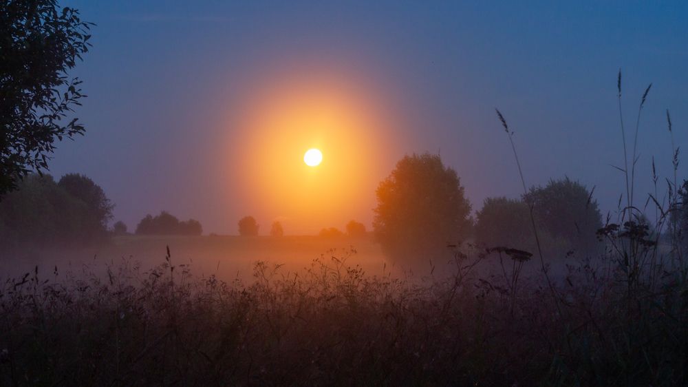 Photograph by Комарова Вера