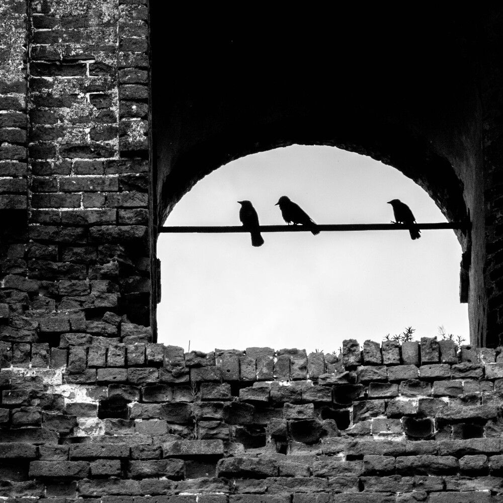 Photograph by Ксения Щукина