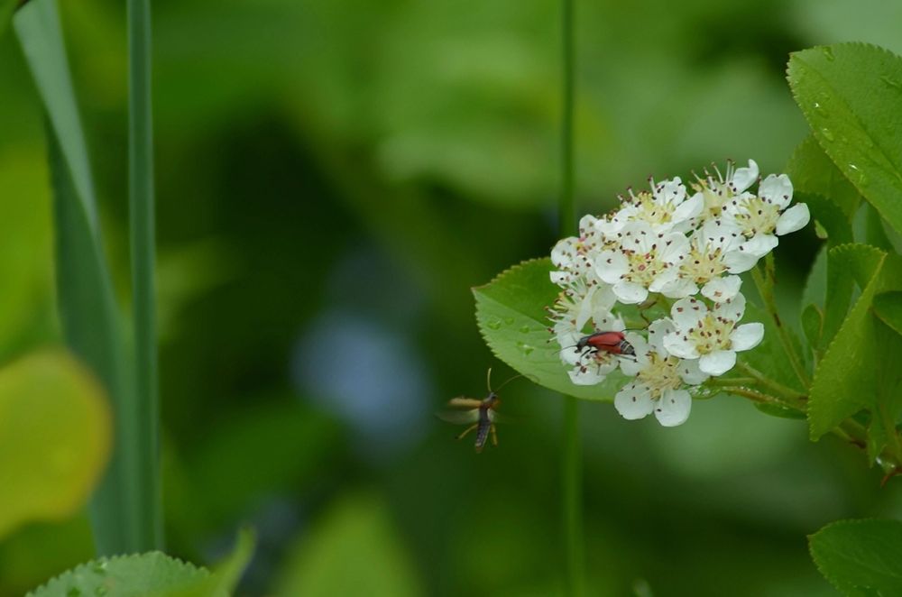 Photograph by София Бояринцева