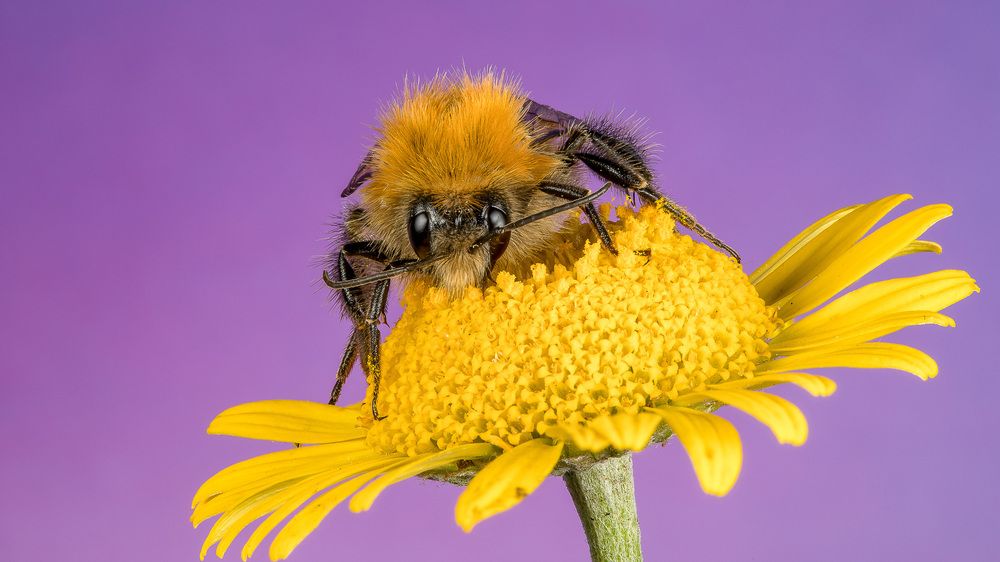 Photograph by Андрей Кривов