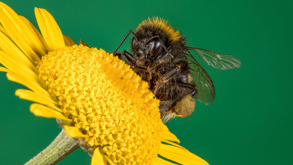 Photograph by Андрей Кривов