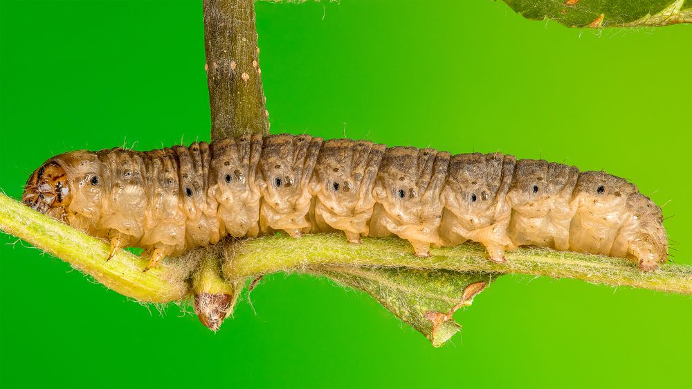 Photograph by Андрей Кривов