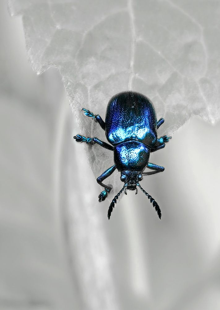 Photograph by Кристина Феминова