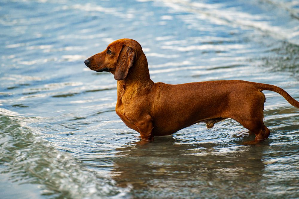 Photograph by Алексей Еремеев