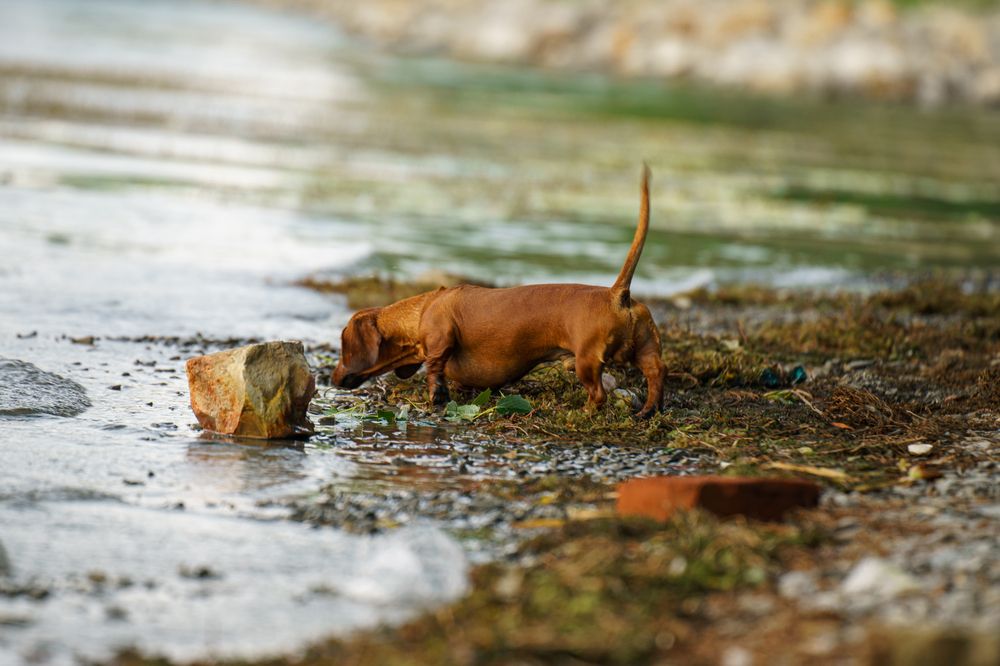 Photograph by Алексей Еремеев