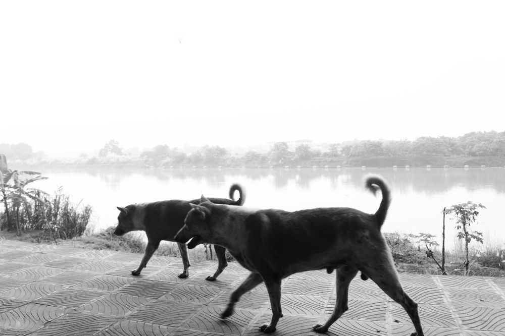 Фотография автора Sheuli Akther