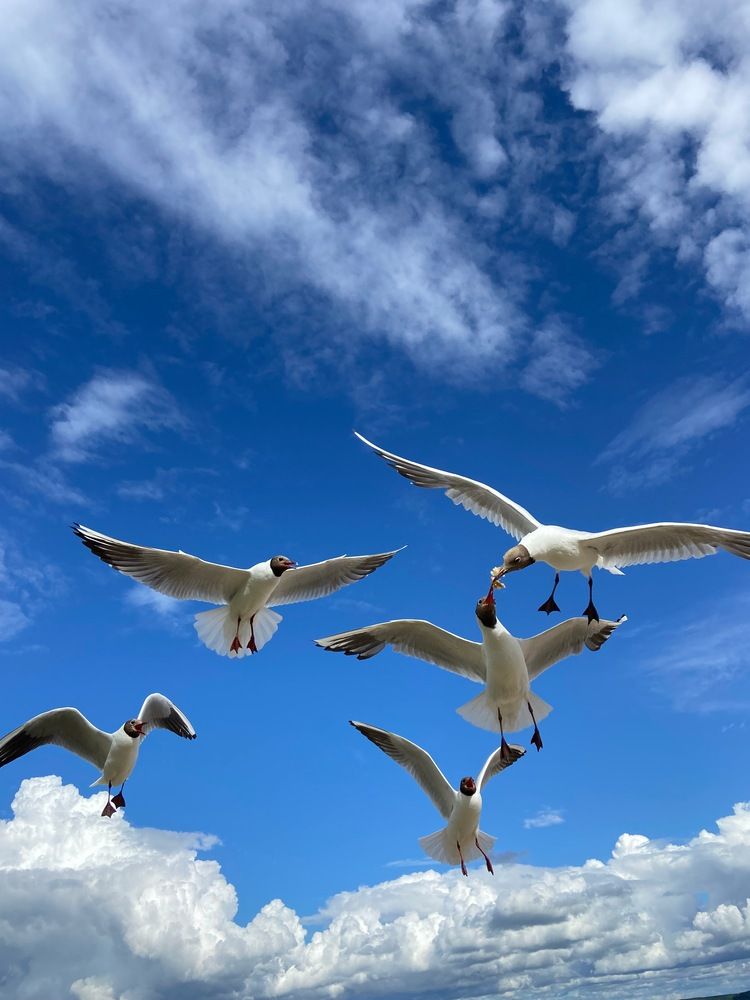 Photograph by Anna Grin