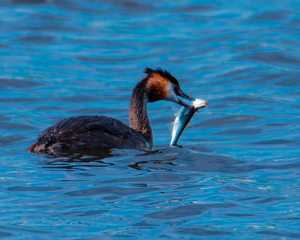 Photograph by Grigoriy