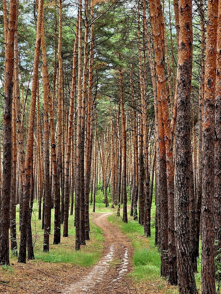 Photograph by Куделенко Оксана