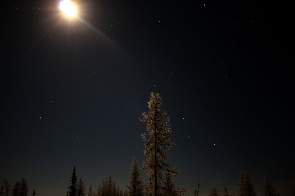 Photograph by Александр Суворов