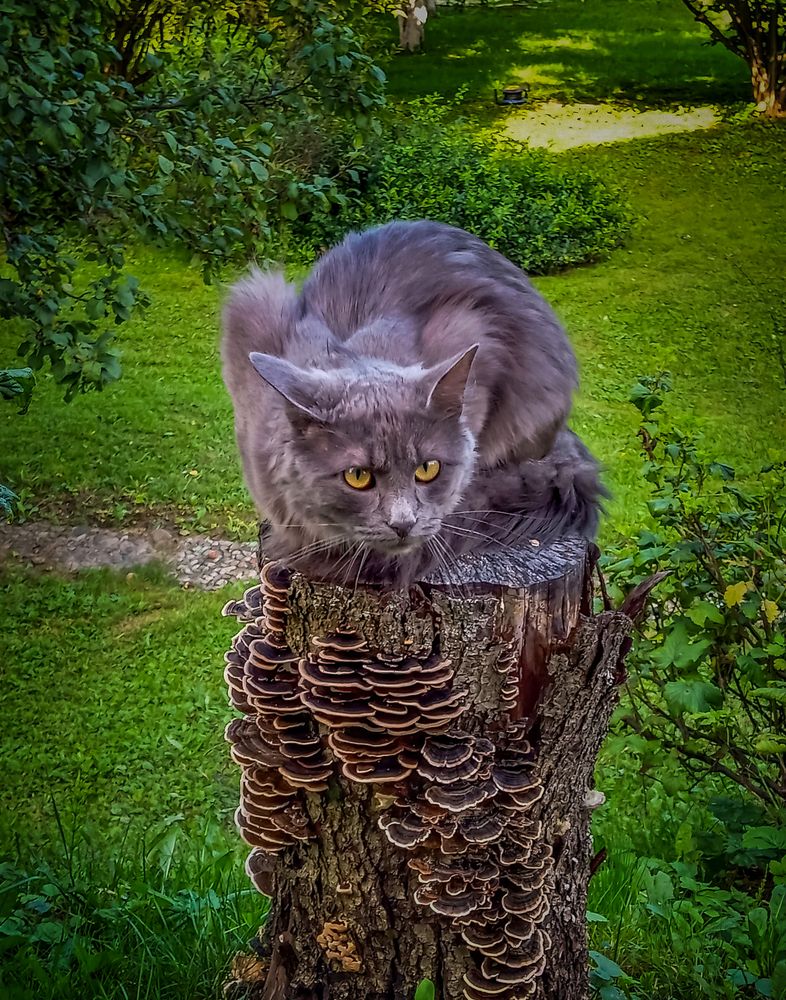 Photograph by Алексей Копылов