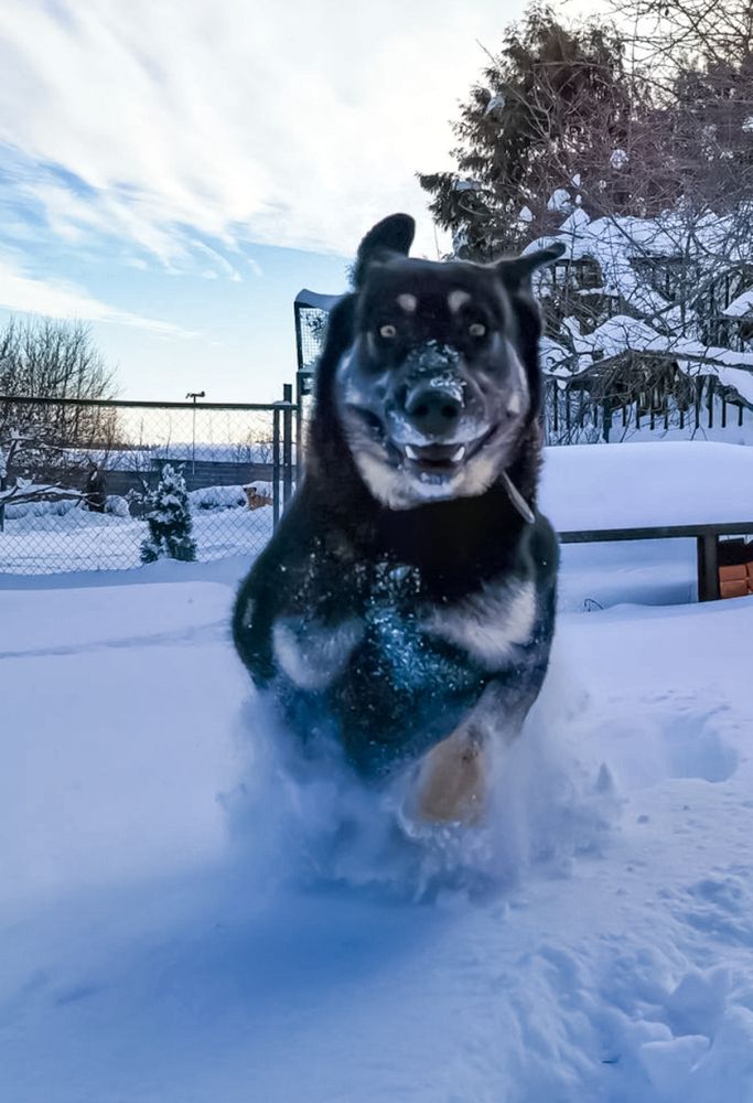 Photograph by Алексей Копылов