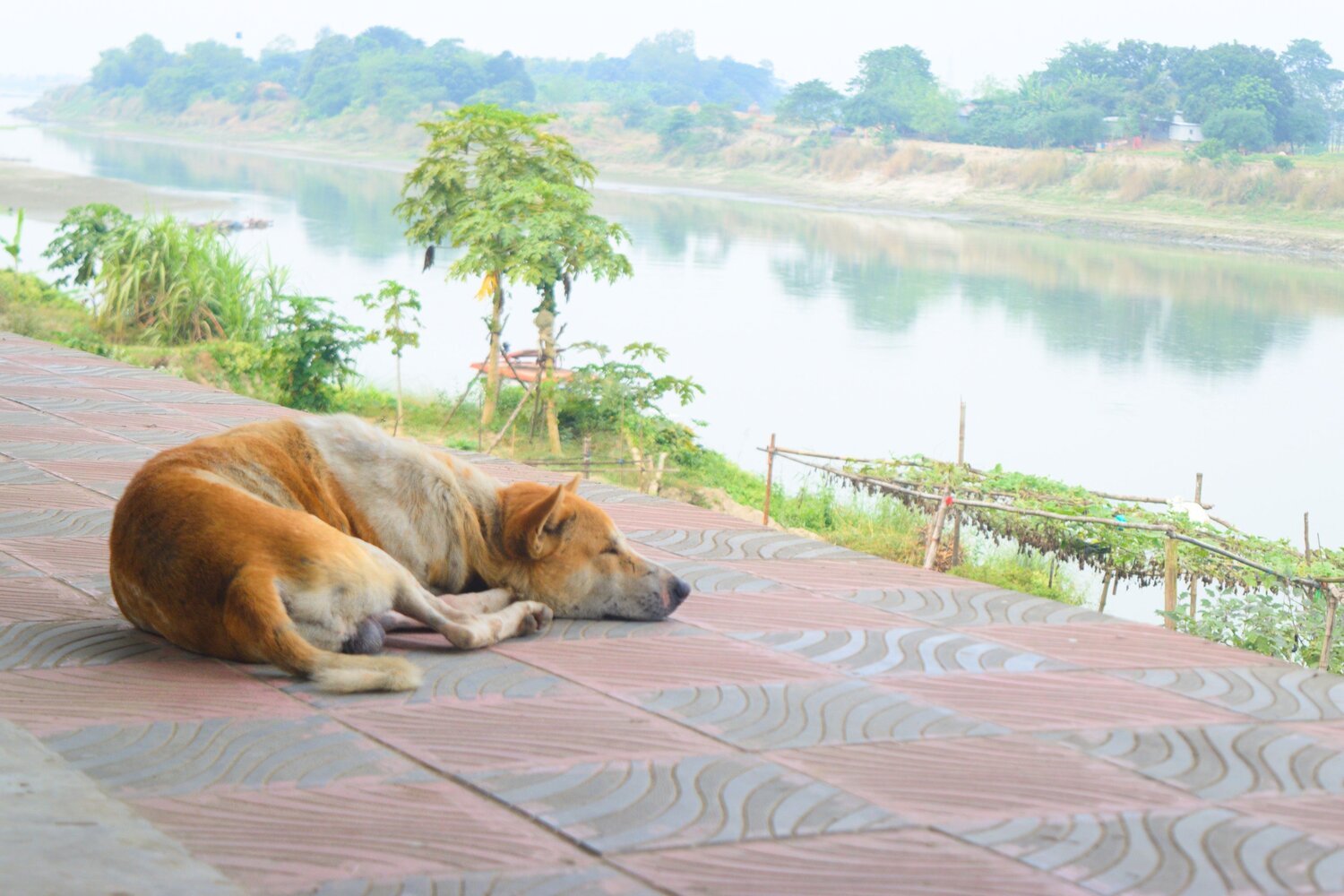 Photo #12448414