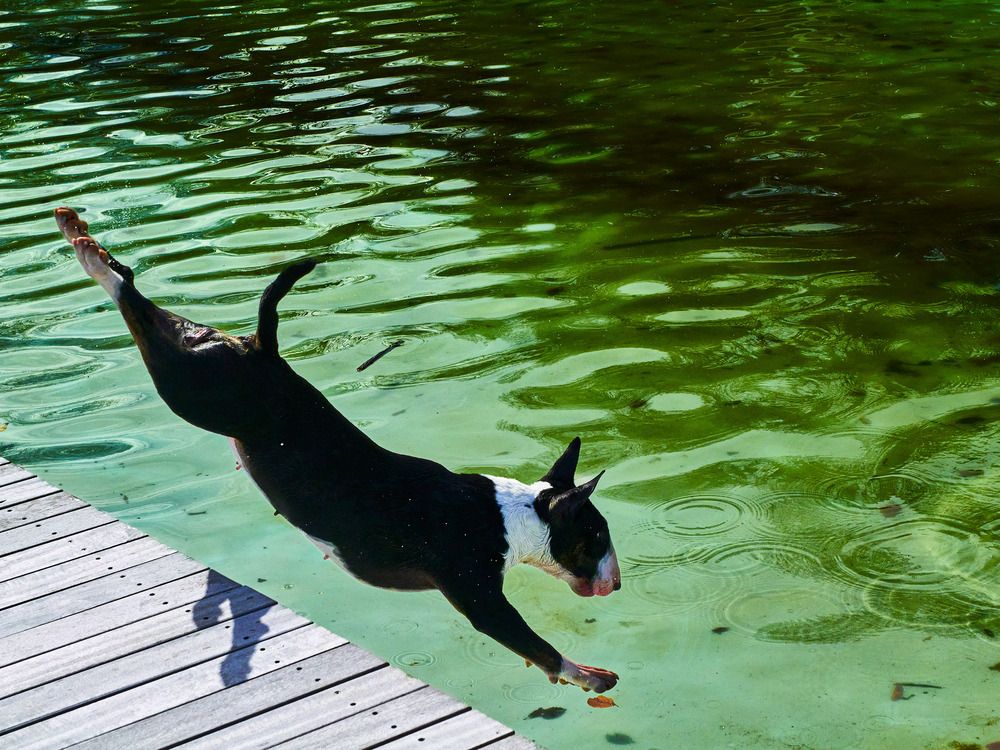 Photograph by Rudi Uran