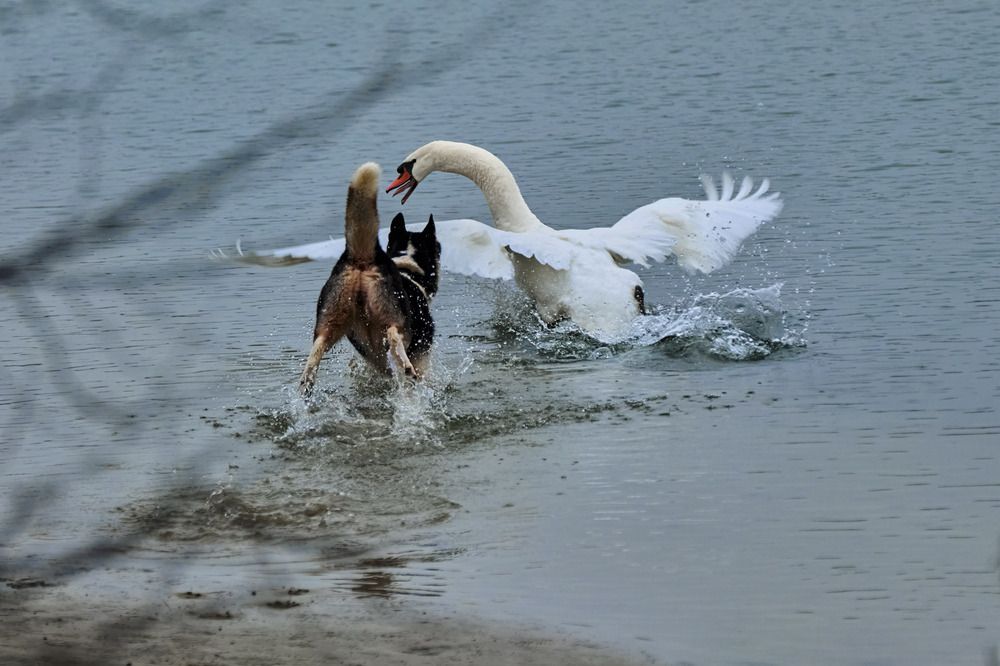 Photograph by Rudi Uran