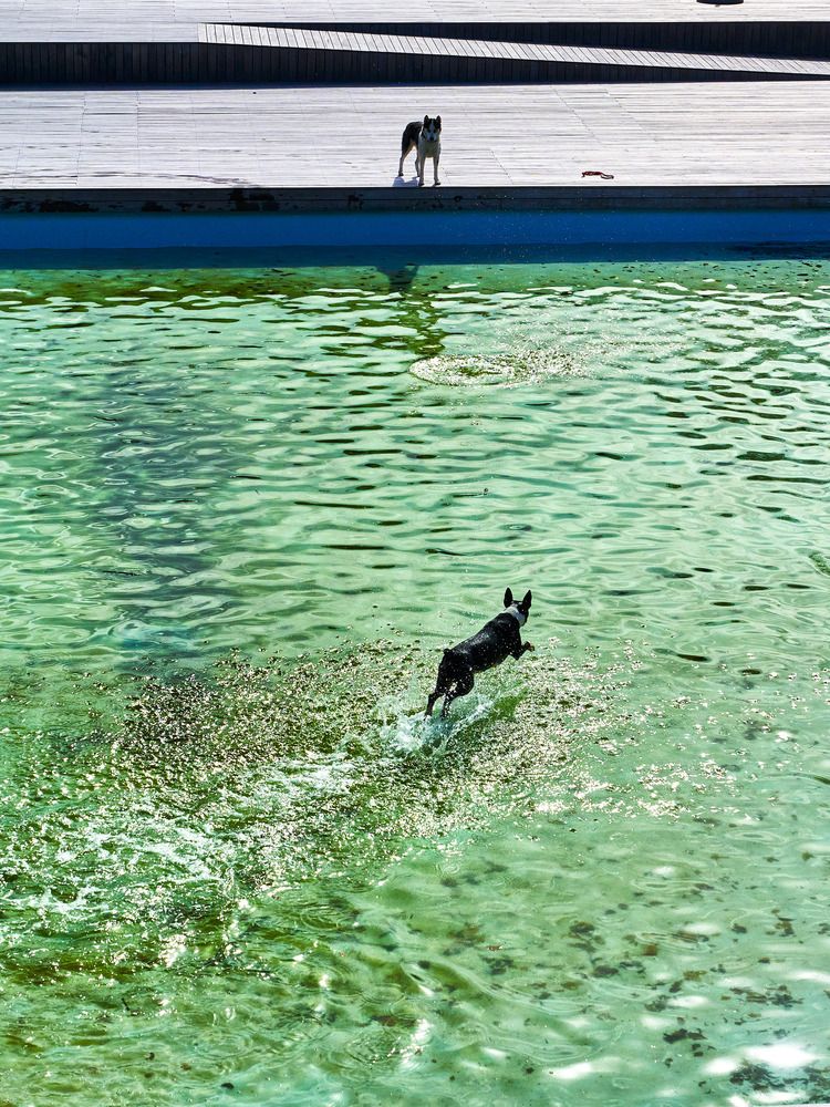 Photograph by Rudi Uran