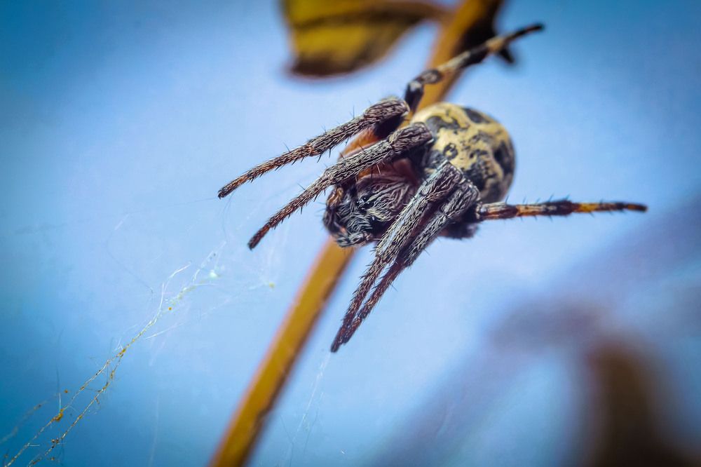 Photograph by Сергей Назаредский