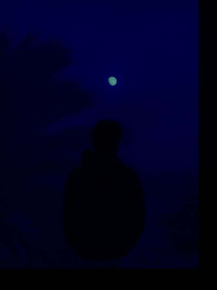 Photograph by Basma rashwan