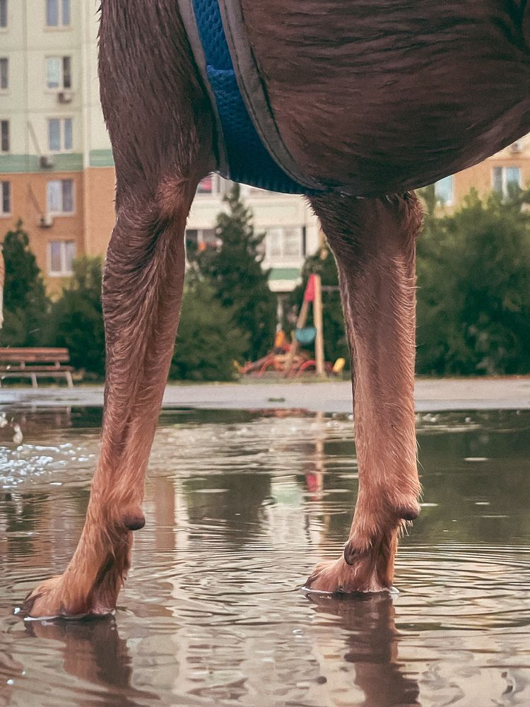 Photograph by Марина Фомичева