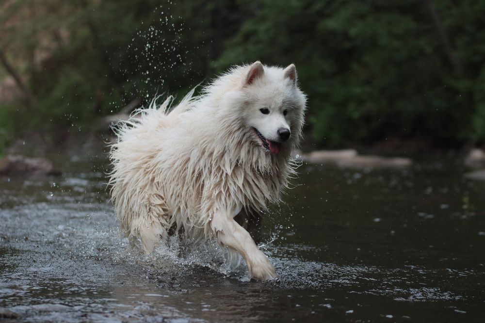 Photograph by Дарья Чистякова