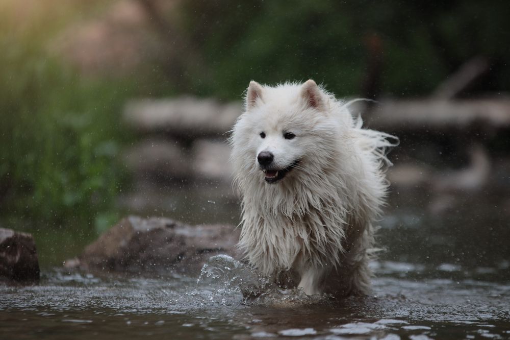 Photograph by Дарья Чистякова