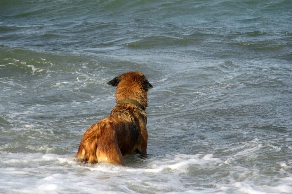 Photograph by Ольга Березовская