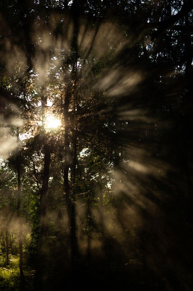 Photograph by Екатерина Одинцова