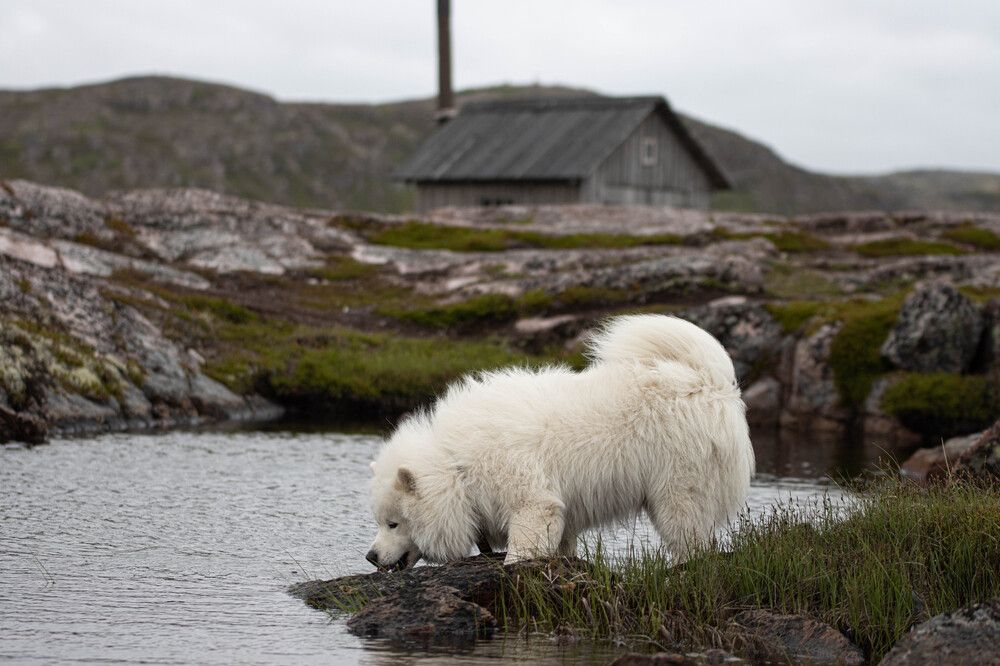 Photograph by Дарья Чистякова