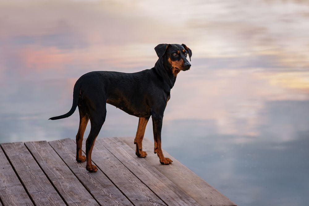 Photograph by Васильева Светлана