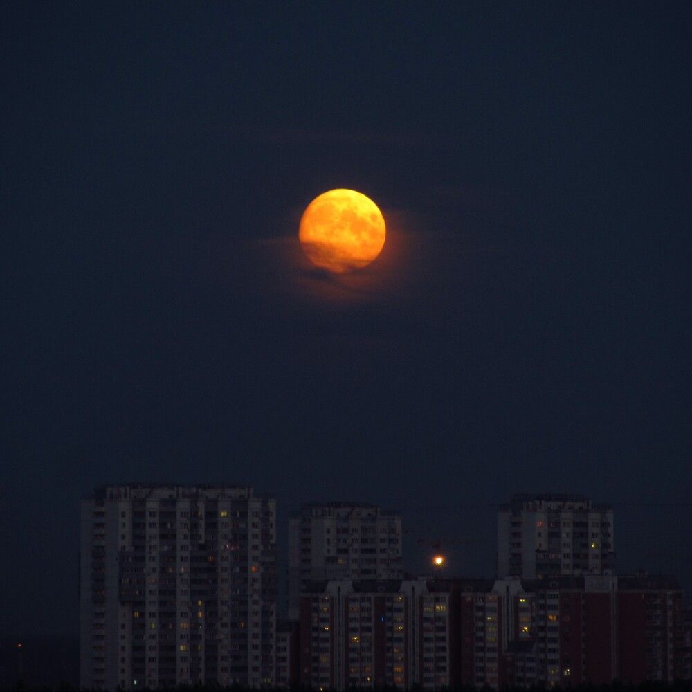 Photo #12448779