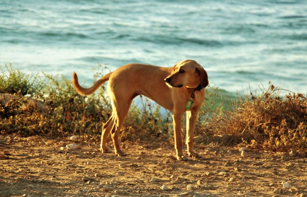 Photograph by Людмила Бутова