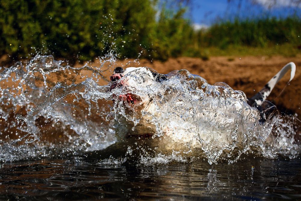 Photograph by Людмила Бандурина