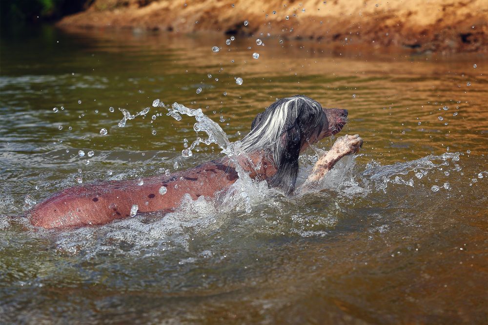 Photograph by Людмила Бандурина