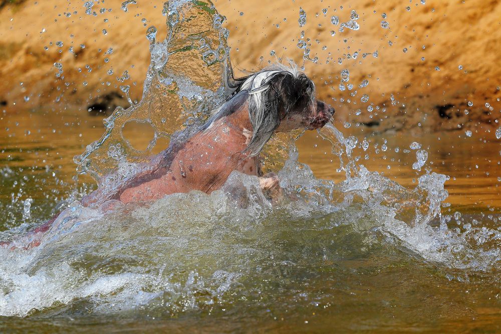 Photograph by Людмила Бандурина